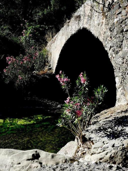 Orne Magical Retreat Vila Exterior foto